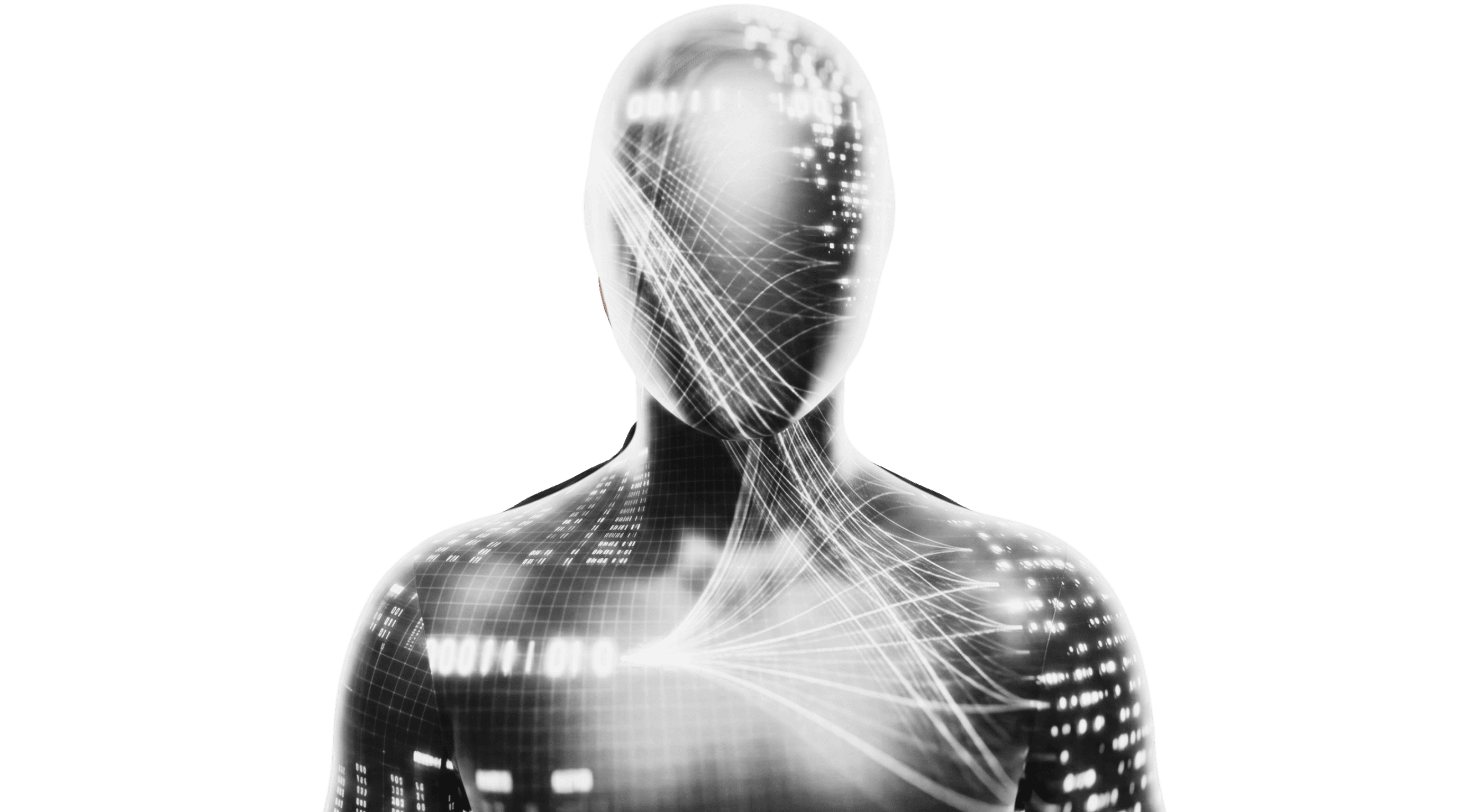 VinsData back artwork